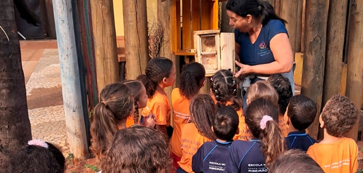 Floresta educadora